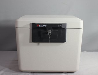 Sentry 1170 Fire Resistant Lock Box Style Safe