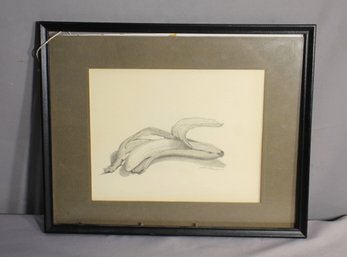 Original Pencil Drawing Of Bananas By Kathy Carrington - Framed