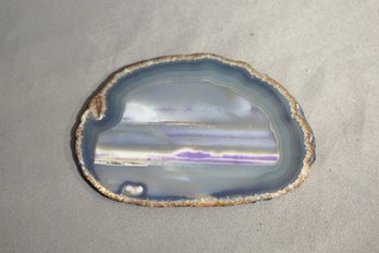 Natural Agate Slice With Striking Color Bands