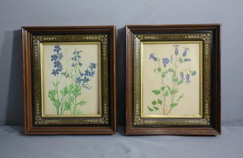 Two Highly Decorated Frames With Vintage Botanical Prints