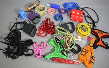Assorted Lot Of Dog Harnesses, Leashes, And Accessories