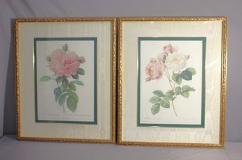 Pair Of Framed Botanical Prints - Rosa Gallica And Rosa Centifolia