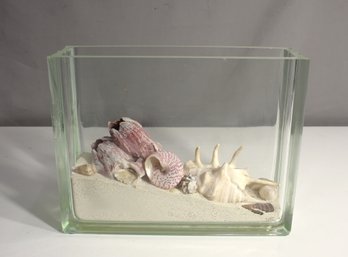 'Glass Terrarium With Coastal Seashell Display  Vintage Ocean-Themed Decor'