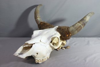 Vintage Cow Skull & Horns With Faux Fur And Beads, Shells, Etc