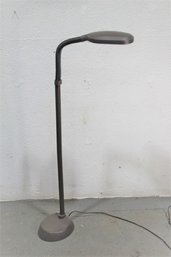 Natural Sunlight Gooseneck Floor Lamp