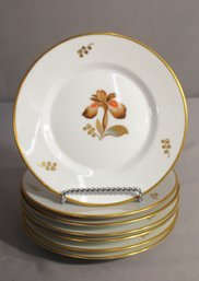 7 Royal Copenhagen Side Plate.Nordic Botanicals Brown Iris With Gold Accent. Denmark