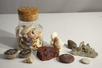 Collection Of Rocks, Geodes, Shells, And Mineral Specimens In Glass Jar