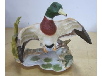One  Hamilton Duck Collection