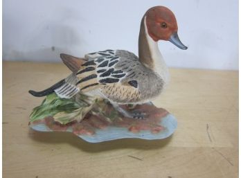 One  Hamilton Duck Collection