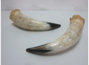 Ankole Large Horns, Set Of 2