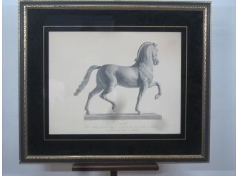 Cavallo / Horse Engraving