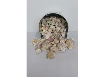 Bucket Of Seashells