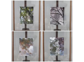 4 Framed Photos Of The 4 Seasons In  Washington Square Park