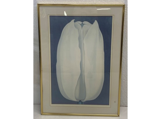 Framed Artwork Of A Tulip