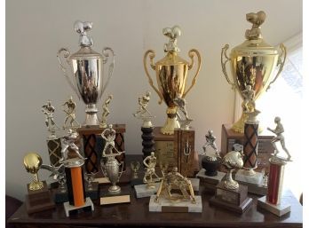 Group Lot Of Hockey Trophys