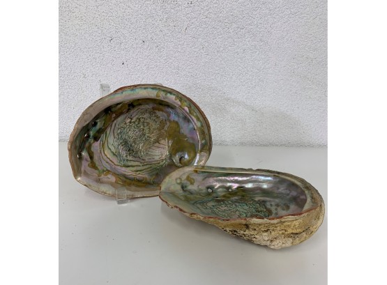 Pair Mother Of Pearl Shells