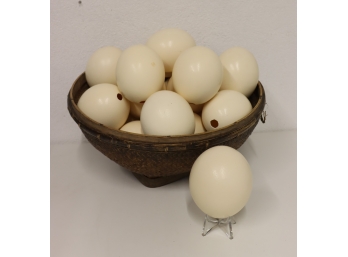 Group Lot Of 20 Ostrich Eggs Shell -Plain
