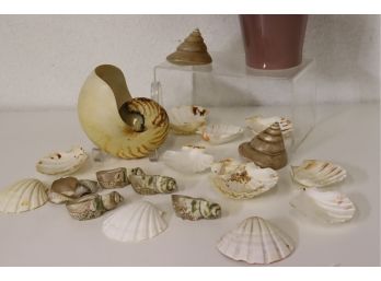 Grouping Of Decorative Shells Including 4 Shell Napkin Rings - Scallop, Nautilus, And Conch