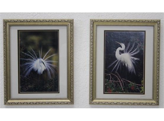 Pair Of Framed Snowy Egret Prints Signed Welch