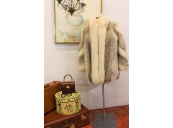 Vintage Fourrures Alexander Furs Fox Coat -(size Lg)