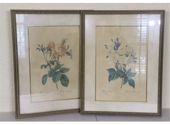 Pair Of Botanical Prints