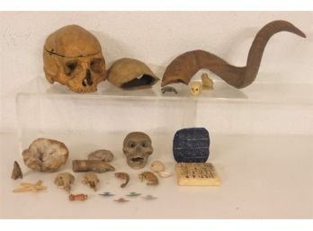 Anthropologist's Fun Box: Skulls, Horns, Shells, Runes, Fossils...and Inexplicably - Tiny Toy Planes