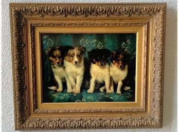 Shelties.  Wow. Original Painting Of Four Portrait Puppies, Signed L. Cassidy - Elegant Detailed Frame