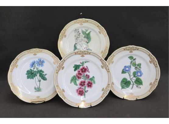 4 Beautiful Botanic Plates With Robert Sweet London Engraving Images  By Marked On Bottom: Andrea By Sadek