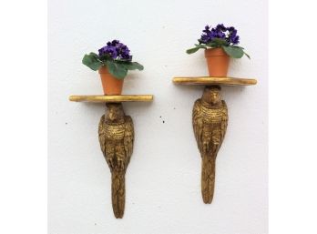 Patient Parrot Pair Of Wall Sconce Shelves