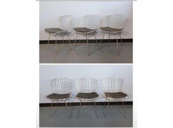 Set Of Six (6) Vintage Harry Bertoia Side Chairs -Original-(All In Great Condition )