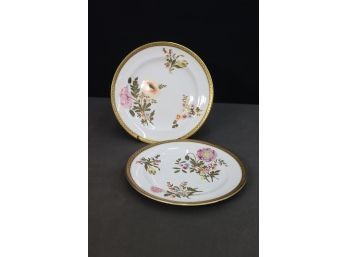 Two Floral And Gold Band Decorated Royal Worcester Vitreous China Plates