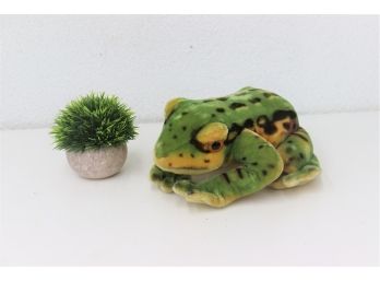 Fuzzy Big Eye Toad Frog Plushie Cush Toy