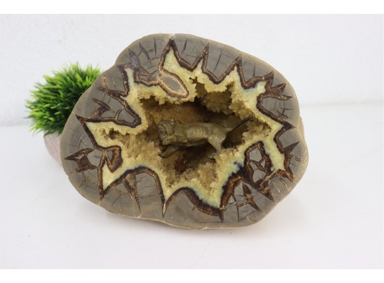 Polished Septarian Nodule Geode, Complete With Guard Tiger