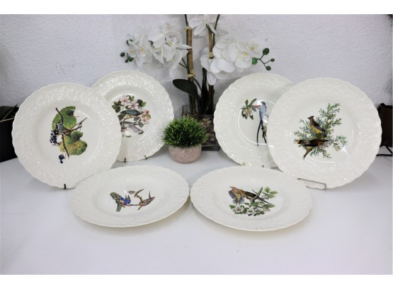 Six Alfred Meakin England Plates - Audubon's Birds Of America