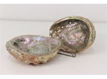 Two Gorgeous Iridescent Abalone Nacre Shells