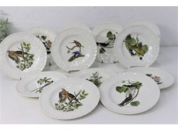 Vintage Set Of 12 Alfred Meakin England Audubon Birds Of America Plates