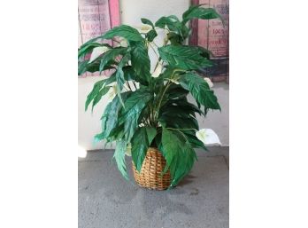 Artificial Large Leaf Peace Lily Plant In Woven Rattan Planter