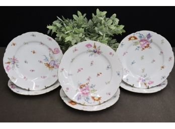 Set Of 6 Antique O & E G Royal Austrian Porcelain Hand-Painted Plates