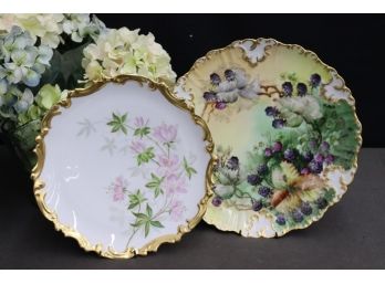 Two Stunning Hand Painted Gilt Edge Plates: S.H.C Germany & Limoges France