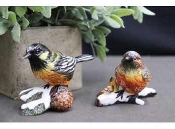 Great Pair Of Warblers Porcelain Figurines On Branch And Pine Cone