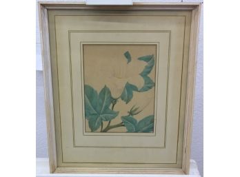 Floral Water Color Serigraph By Shirrell Watson Graves, Signed SW Graves