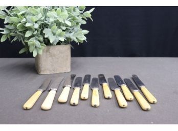 Set Of 11 Various Vintage Celluloid Handled Stainless Dinner Knives - Makers Mixed