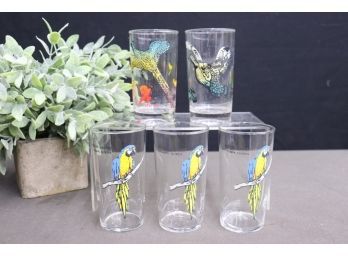 Group Of Five Bird Glasses - 3 Busch Gardens Parrots And 2 Pheasants In Flight