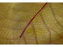 Art Glass Gold & Red Leaf Form Dish -(17' X 11.5')