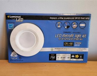 LED Light Kit By LUMINUS Dimmable Retrofit 750 Lumens Flood Lamp - New In Box