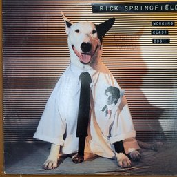 Rick Springfield - Working Class Dog