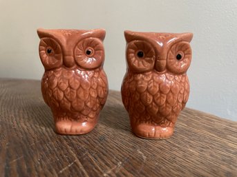 Vintage Owl Salt & Pepper Shaker Set (no Stoppers)