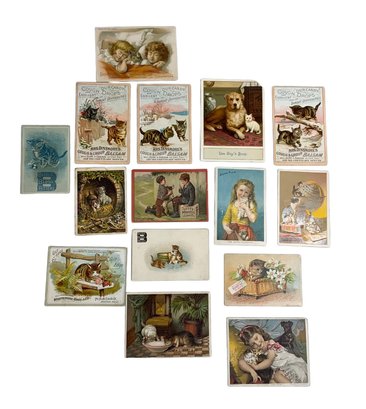 Lot Of Antique Cat And Dog Theme Advertising Cards Burts Fine Shoes Dr Thomas Eclectric Oil