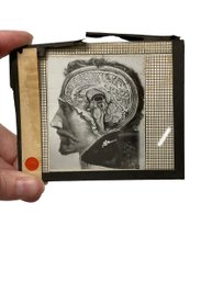 Antique Victorian Era Medical Glass Slide Brain