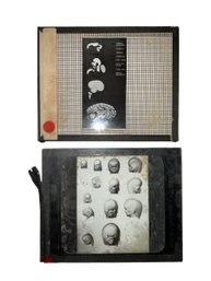 2 Antique Medical Glass Slides: Fetus And Fetus Brain